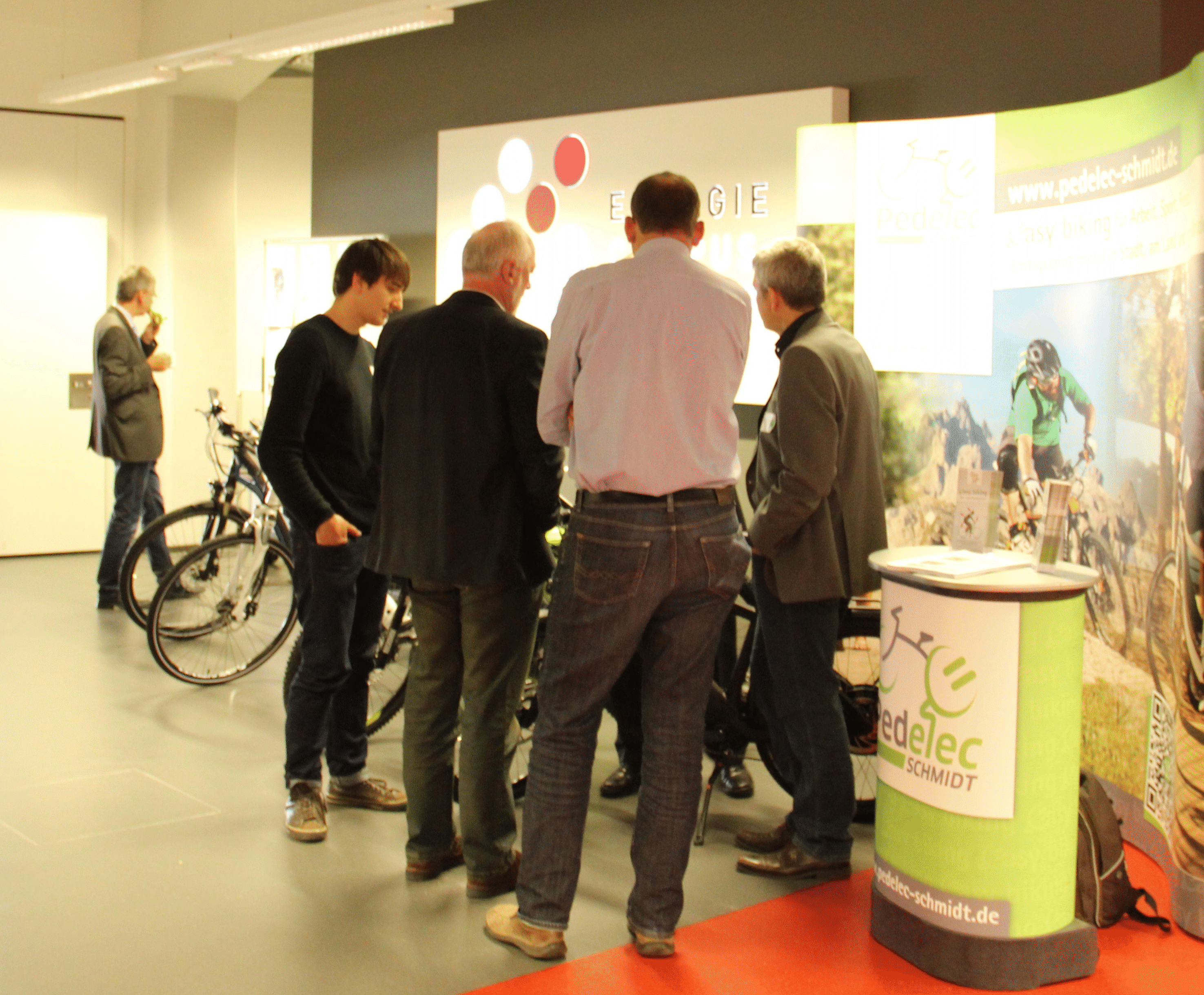 FAPS-TT Seminar 2015 - Pedelec